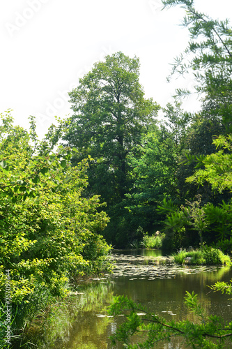 Landschaft 718