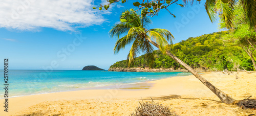 Fototapeta Naklejka Na Ścianę i Meble -  Palm trees on the sand in La Perle beach