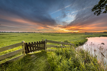 Papier peint photo Pantone 2025 Mocha Mousse Gate view of agricultural landscape  © creativenature.nl