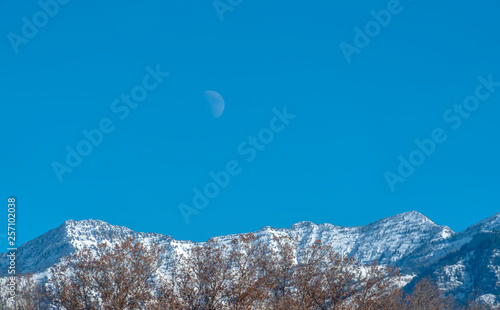 Treetops against Mount Timpanogos and sky in Utah photo