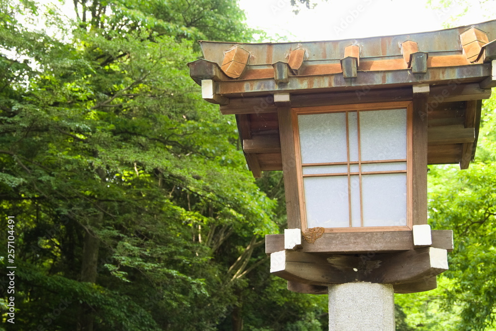 house in the forest