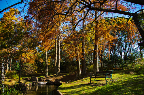 秋・ベンチのある水辺の紅葉の風景 © satoru