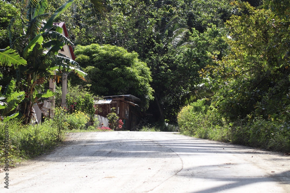 Road leading to a house the Province of Barili Cebu Philippines Road leading to a house the Province of Barili Cebu Philippines