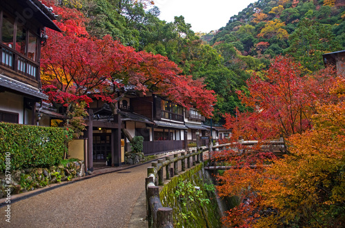 明治の森箕面国定公園・紅葉する滝道の風景