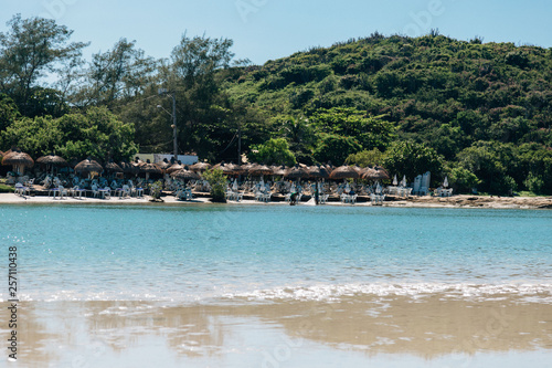 tropical beach in brazil