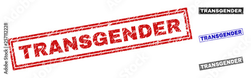 Grunge TRANSGENDER rectangle stamp seals isolated on a white background. Rectangular seals with grunge texture in red, blue, black and grey colors.