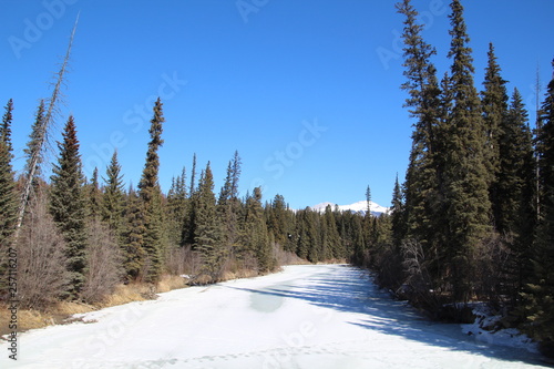 Frozen Miette River, Jasper National Park, Alberta