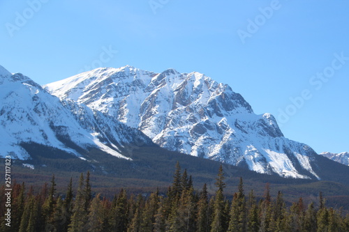 Snowy Mountain, Jasper National Park, Alberta