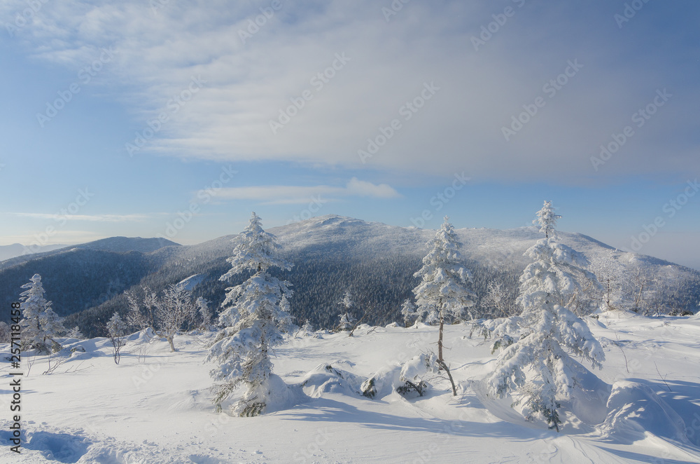 Wonderful russian winter