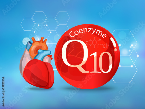 Coenzyme Q 10. Basics of healthy nutrition