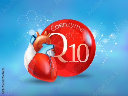Coenzyme Q 10. Basics of healthy nutrition