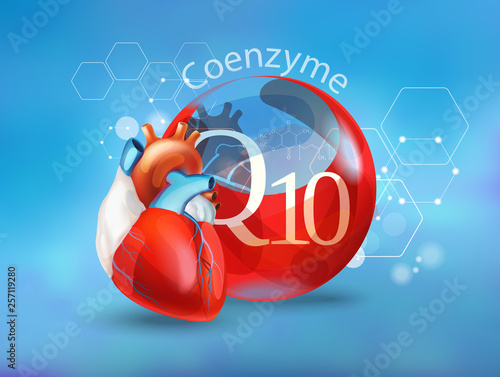 Coenzyme Q 10. Basics of healthy nutrition