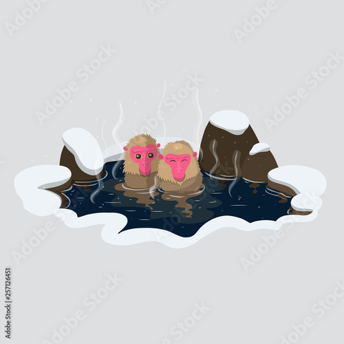 Japanese snow macaques bask in a hot spring vector illustration