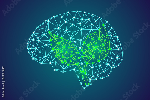 3d digital polygonal human brain with plant leafs, go green, vegetarian, change of mind of plants problem concept. abstract particles plexus structure, science stock vector illustration clip art