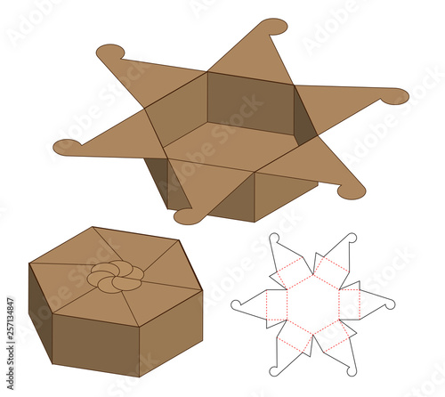 Box packaging die cut template design. 3d mock-up