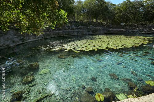 Cenote at Dzibilchaltun photo