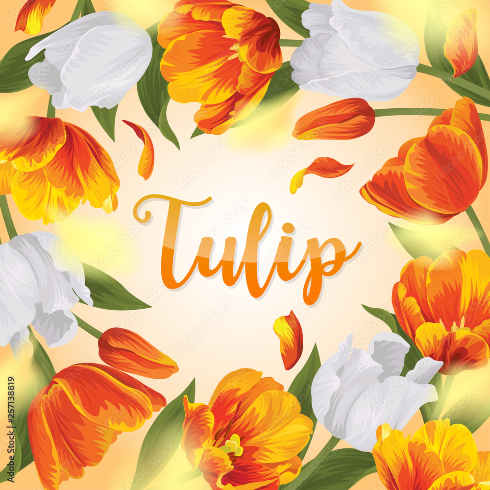 Hoa tulip cam kết hợp với trắng tinh khôi sẽ tạo nên không gian cưới đẹp tuyệt vời. Bộ sưu tập hình nền hoa tulip cam và trắng của chúng tôi sẽ giúp bạn tạo ra một không gian tươi sáng, tinh tế và ấm áp cho lễ cưới của mình.