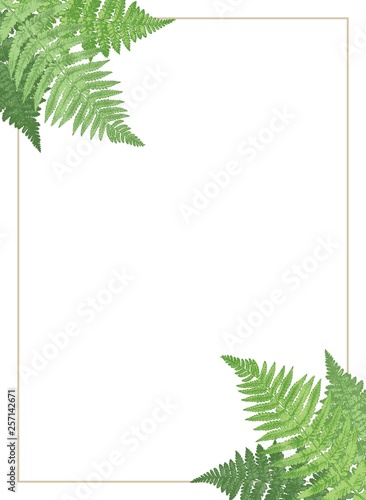 Wedding  invite. Invitation  with fern fronds. Vector natural, botanical, elegant template.