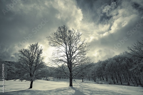 Dramatic Sky Of Winter Landscape At Evening