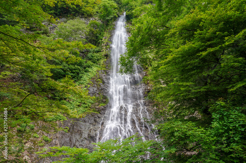 天滝