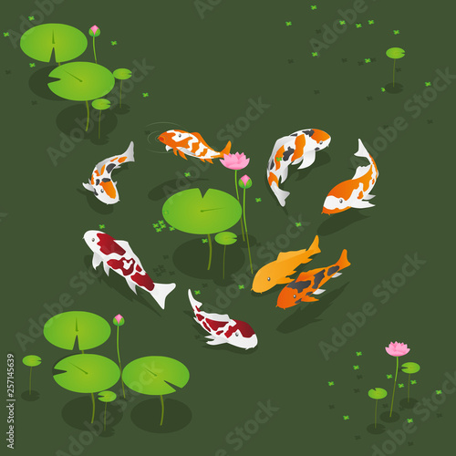 Isometric Koi Fish on Lotus Pond