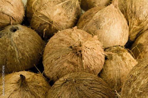 various Coconut shell background