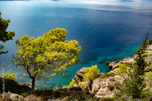 Fototapeta Naklejka Na Ścianę i Meble -  Egzotyczny krajobraz. Błękitne morze i klify z sosnami