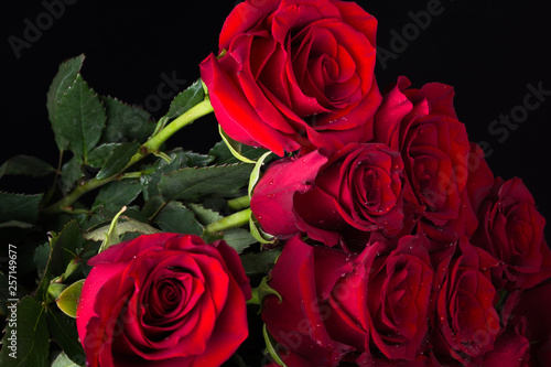 Beautiful red roses. Bouquet of flowers