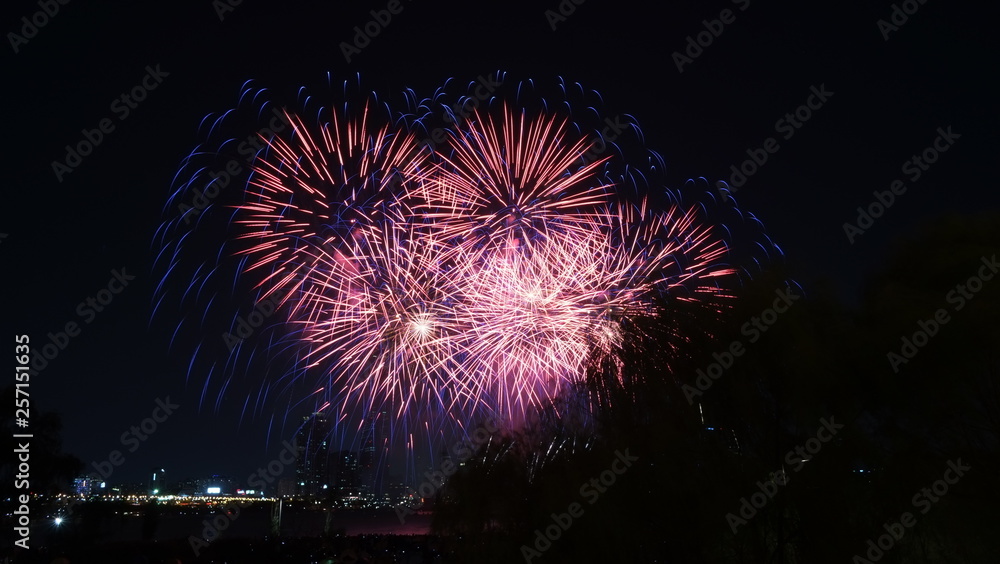 Firework Firework