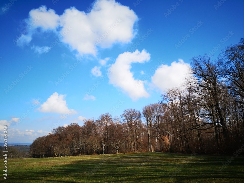 Obraz premium smacap_Bright