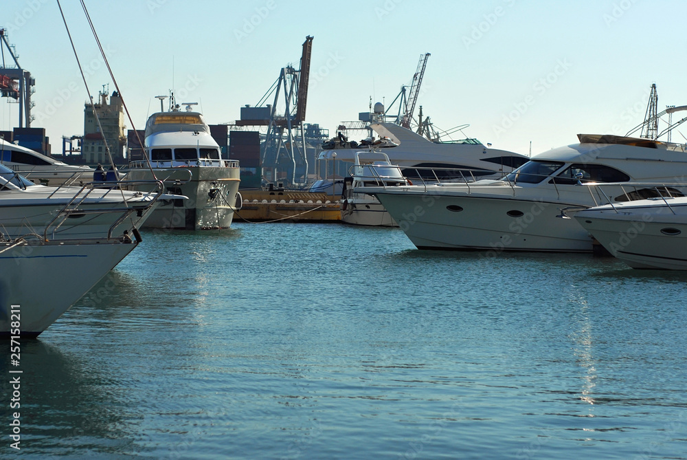 Many white yachts on the wharf. Elegant yachts on the background of the blue sky.