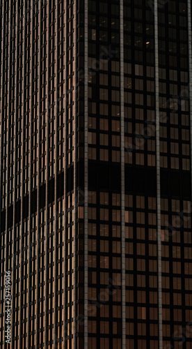 Wallpaper Mural too many Torontodigital.ca