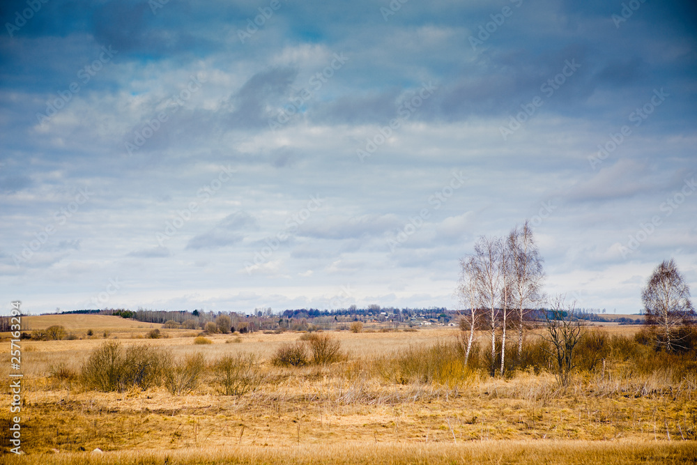 landscape with trees and blue sky