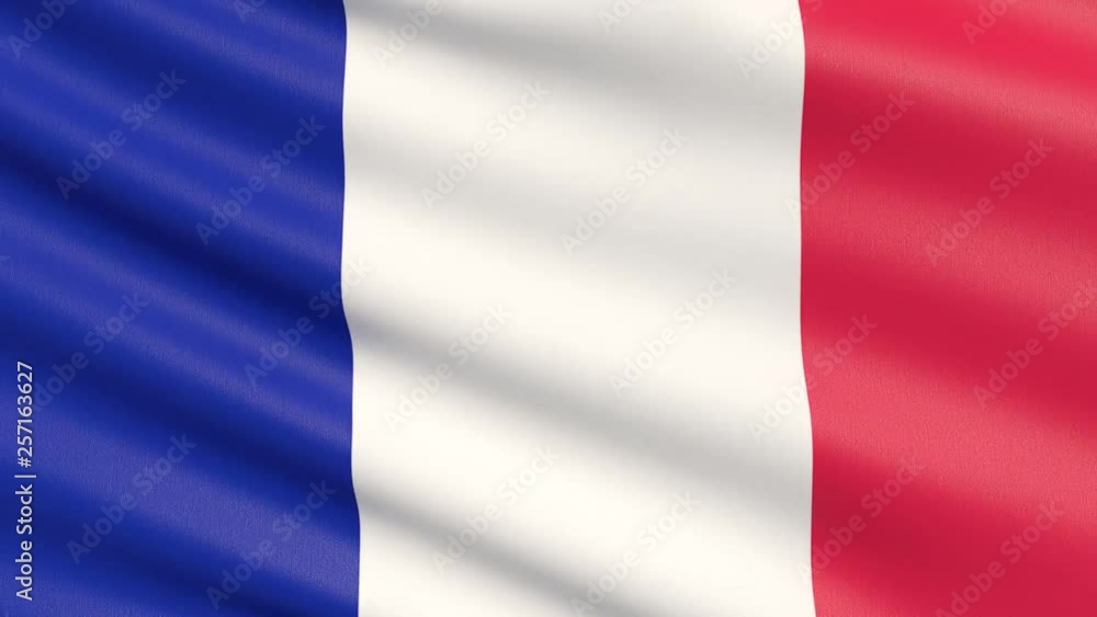 The flag of France. Waved highly detailed fabric texture. The flag of France. Waved highly detailed fabric texture.