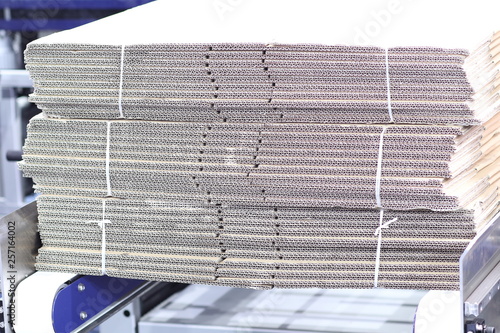 Fotografie Carton / Box in conveyor of Erector Machine