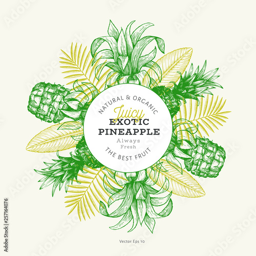 Pineapples and tropical leaves design template. Hand drawn vector tropical fruit illustration. Engraved style ananas fruit banner. Retro botanical frame.