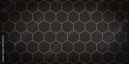 Dark background of black cells with gold stroke - 3D illustration