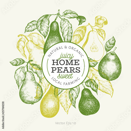 Pear design template. Hand drawn vector garden fruit illustration. Engraved style garden fruit frame. Retro botanical banner.