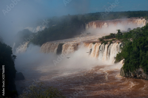 cascata di iguazu photo