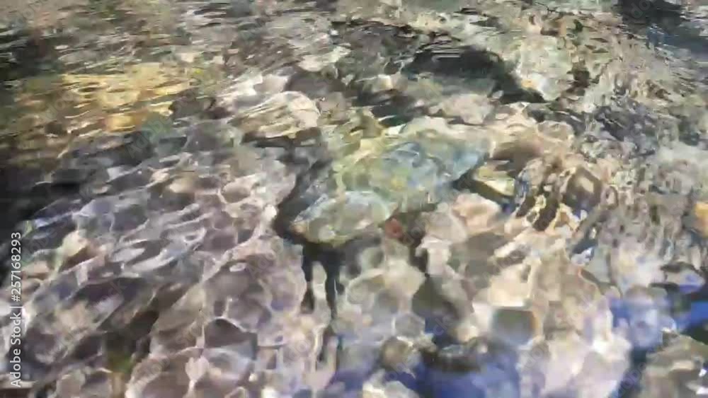Transparent water suface with colorful reflection and stones underneath. Mountain river clear water stream Transparent water suface with colorful reflection and stones underneath. Mountain river clear water stream