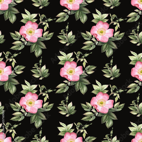 Roses. Watercolor flower seamless pattern.