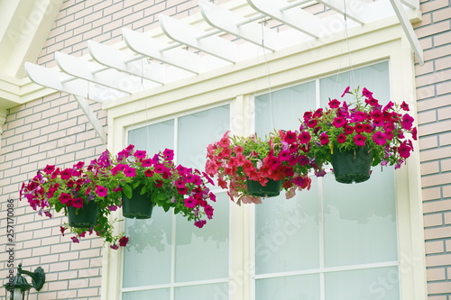 hanging basket of flowers in front of the house