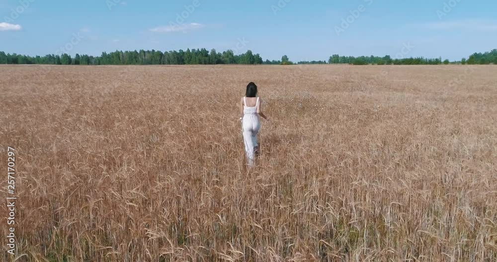 Beautiful brunette girl run on a yellow wheat field. The concept of freedom. Happy woman outdoors. Beautiful brunette girl run on a yellow wheat field. The concept of freedom. Happy woman outdoors.