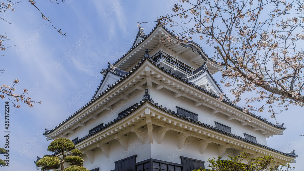 春の館山城の天守の風景