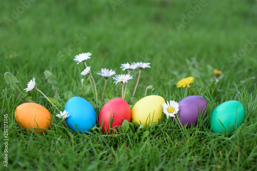 Easter colored hen eggs in a row