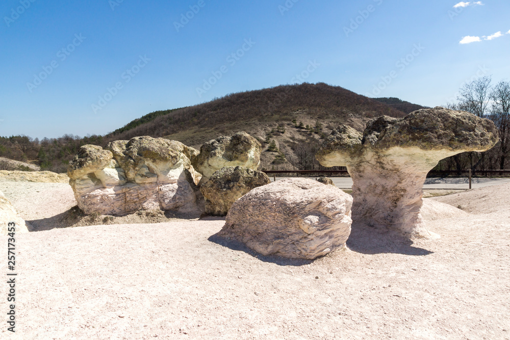 Amazing Landscape with Rock formation The Stone Mushrooms near Beli plast village, Kardzhali Region, Bulgaria