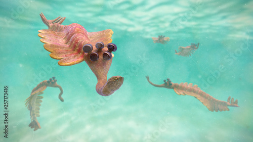 Opabinia regalis, group of prehistoric aquatic animal from the Cambrian Period (3d science illustration) photo