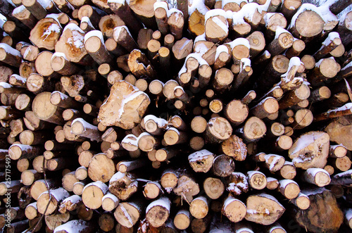 pile of wood logs