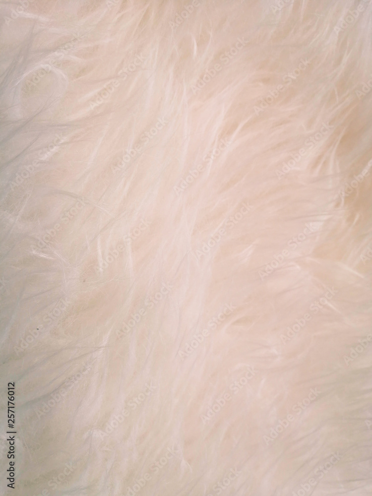 Wool feather background, texture and wallpaper Wool feather background, texture and wallpaper