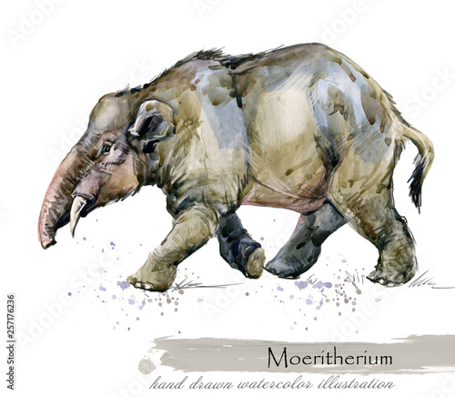 Ice Age wildlife. prehistoric period fauna. watercolor animal. 